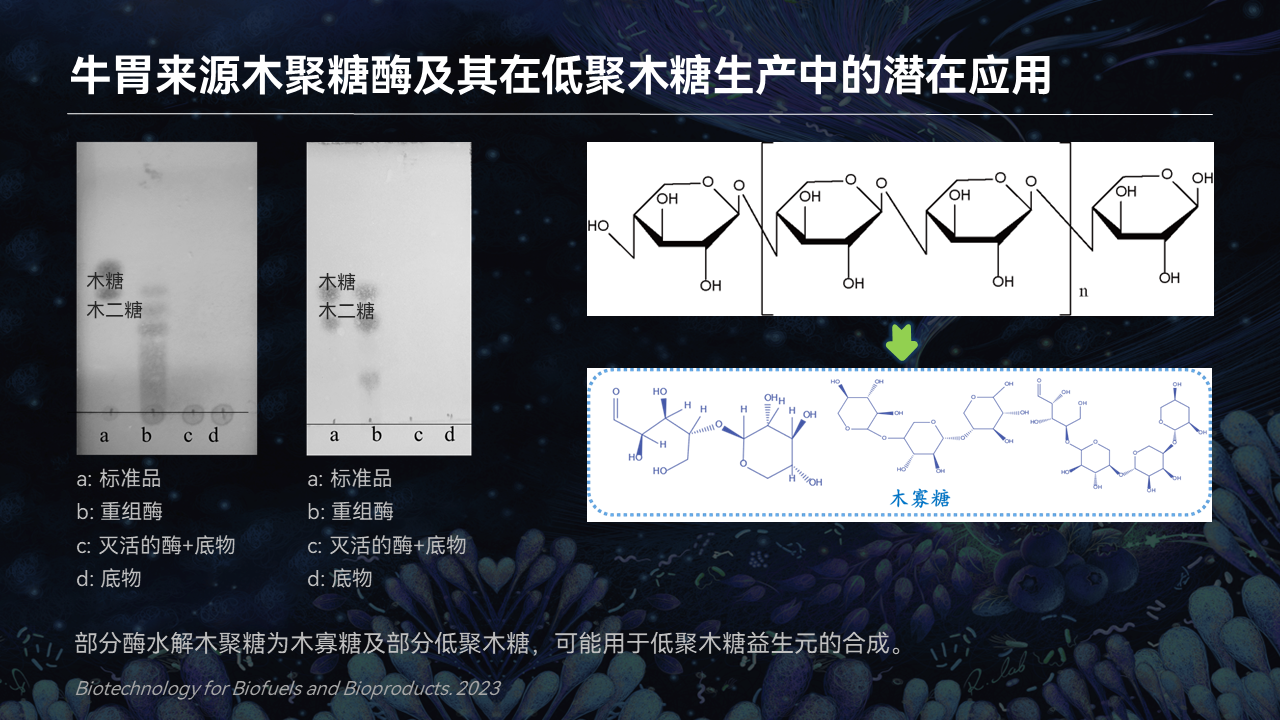 【圖文實錄】魏勇軍:微生物合成中草藥活性分子_進行_部分_可以將