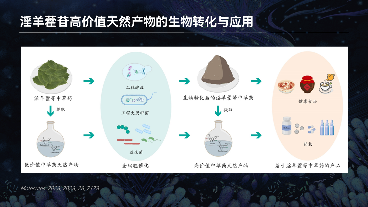 【图文实录】魏勇军:微生物合成中草药活性分子