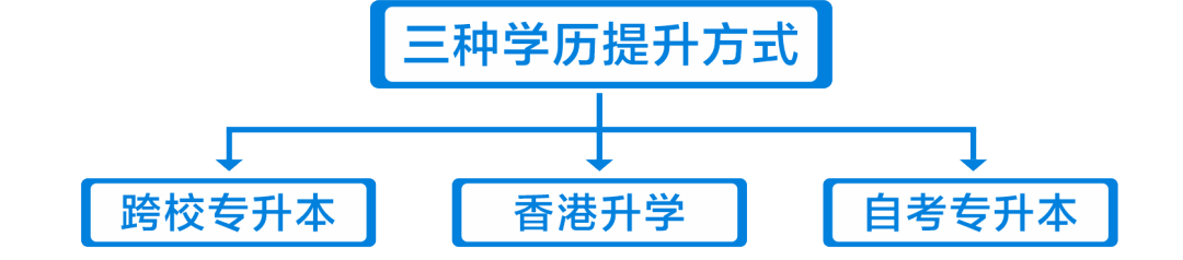 四川長江職業學院2024年單獨招生報考指南_技術_專業_應用