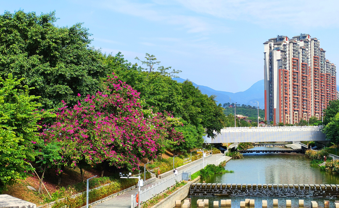 鎮政府廣場,出發途徑清溪河碧道,蟾蜍凹山谷到達廣東省文化和旅遊特色