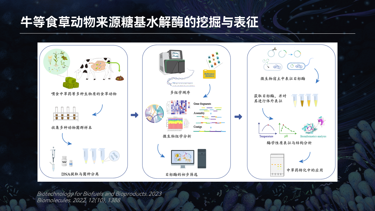 的中草藥生物轉化菌群,給奶牛餵食中草藥等策略富集糖基水解酶基因