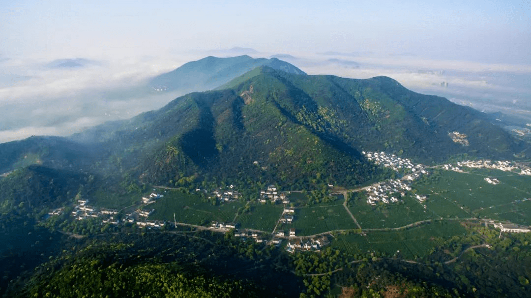 泉山雅境【營銷中心】首頁網站|125-165㎡純洋房|靜邀品鑑_蘇州_項目