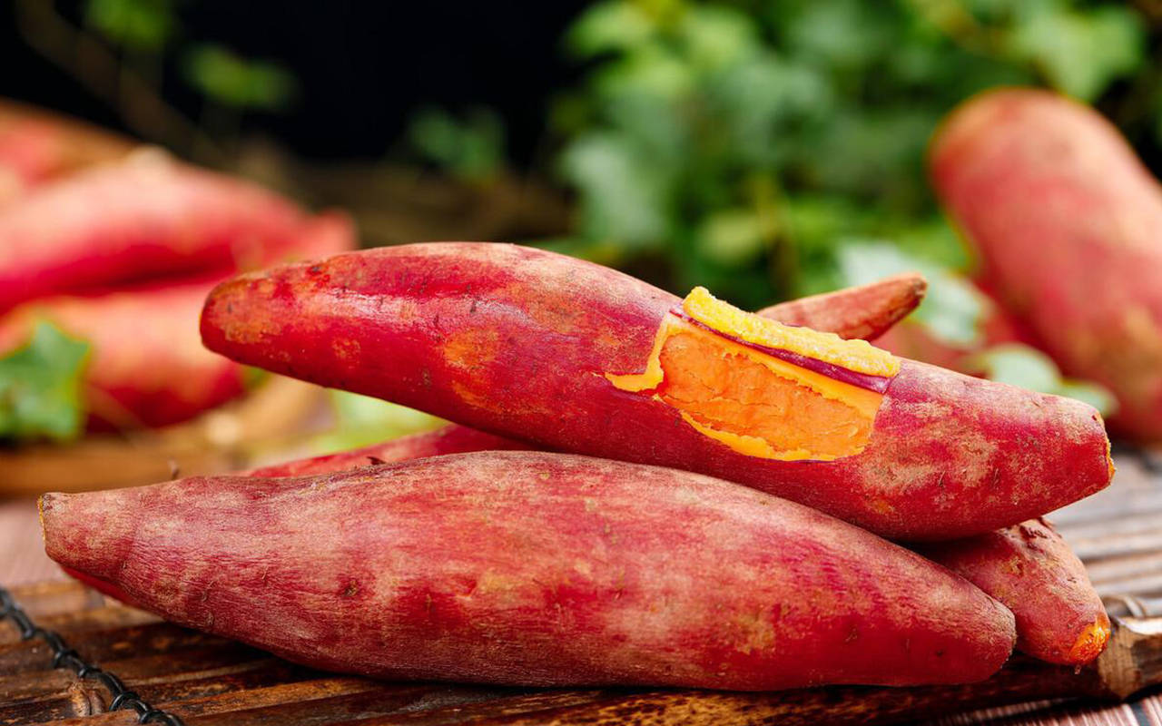 红薯分"公母",好吃就选"公的",看这里一眼辨别甜红薯!_地瓜_口感_味道