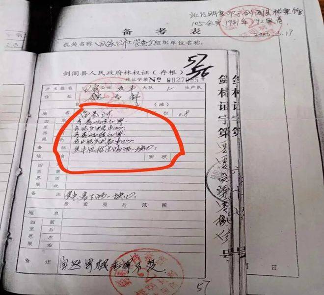 广元市村民魏如锦侵权案引发关注_林权_事情_政府部门