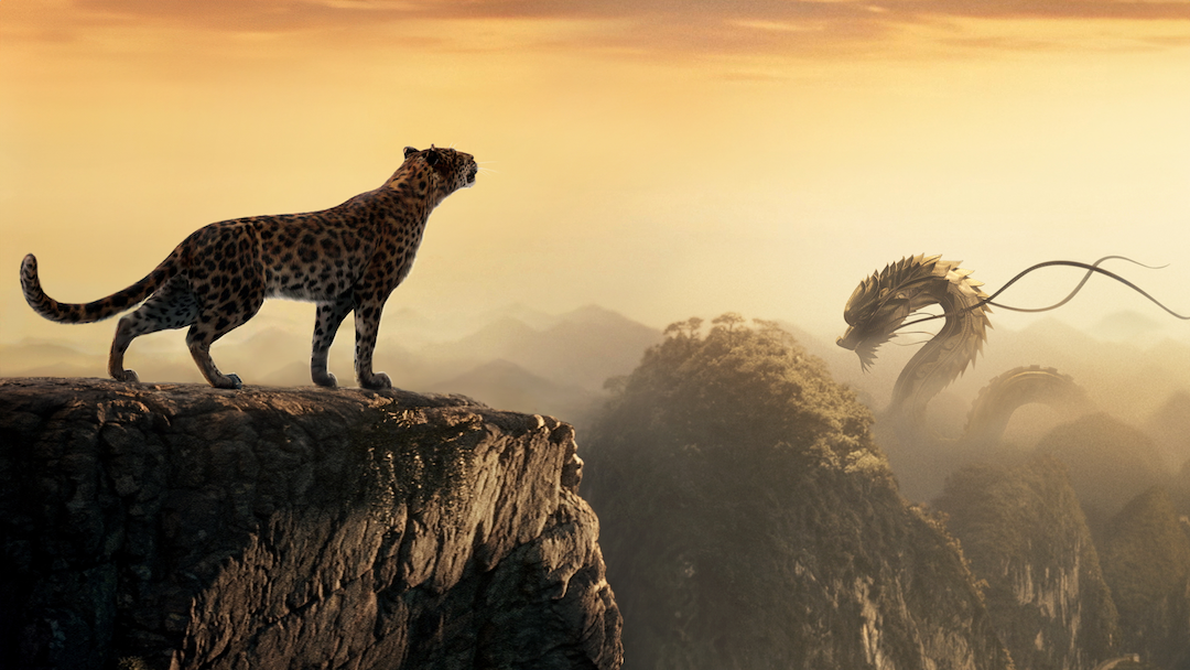 十二年,猎豹再会龙图腾_卡地亚_中国_影片