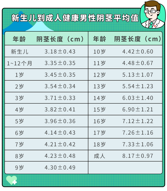 男婴小鸡鸡应该多长才正常？