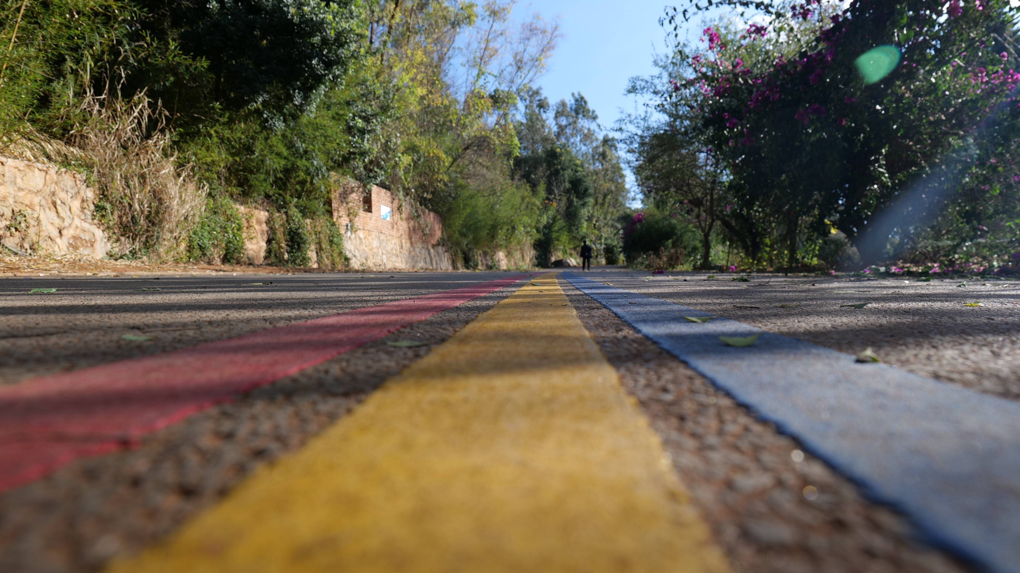 阳宗海环湖景观道路图片