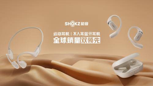 耳机排行榜入耳式_耳机买什么品牌的好入耳耳机最新推荐
