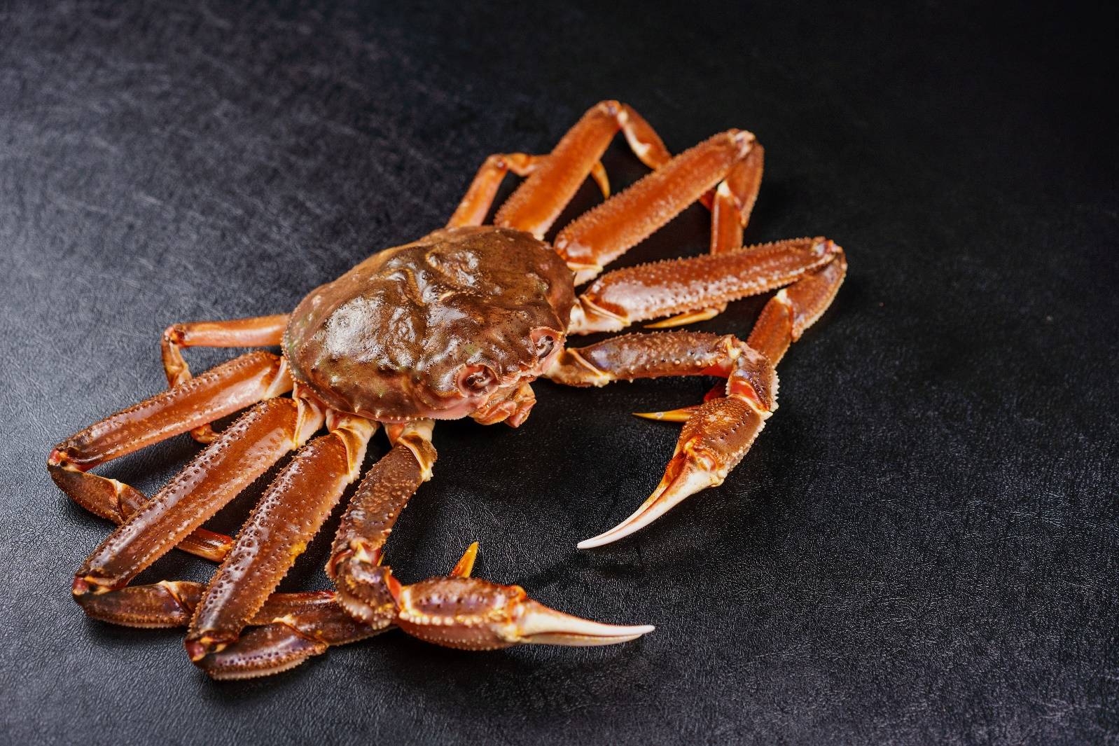 蟹香满溢：家庭版蟹肉美食大赏