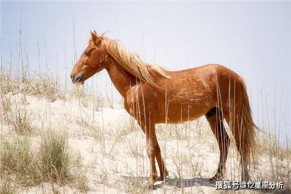 星座运势查询_今日运势查询星座_天秤运势今日运势查询星座