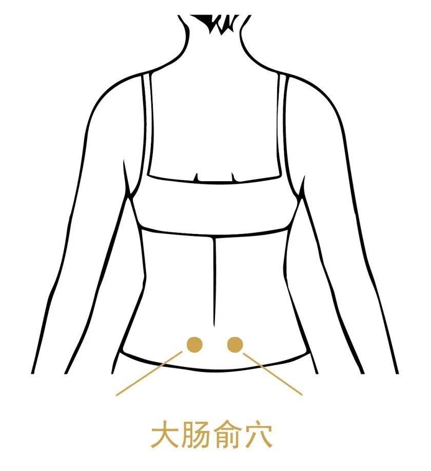 大肠俞穴属足太阳膀胱经