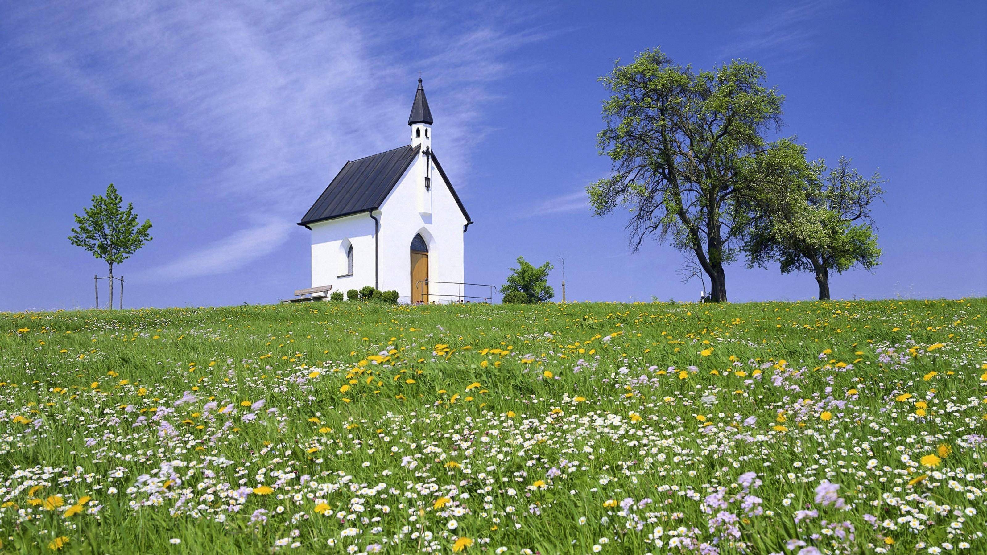 原创儿媳二胎不是男孩就跟我儿子离婚多少婚姻毁于婆婆