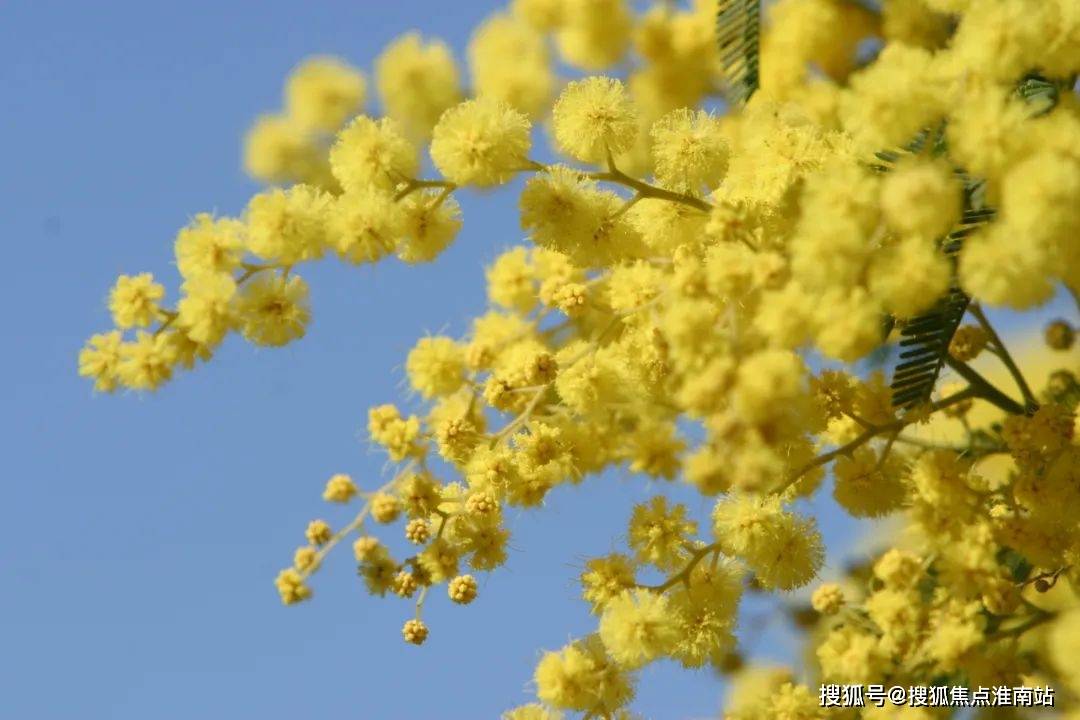 清·納蘭容若《木蘭花·擬古決絕詞柬友》行人莫問當年事,故國東來渭