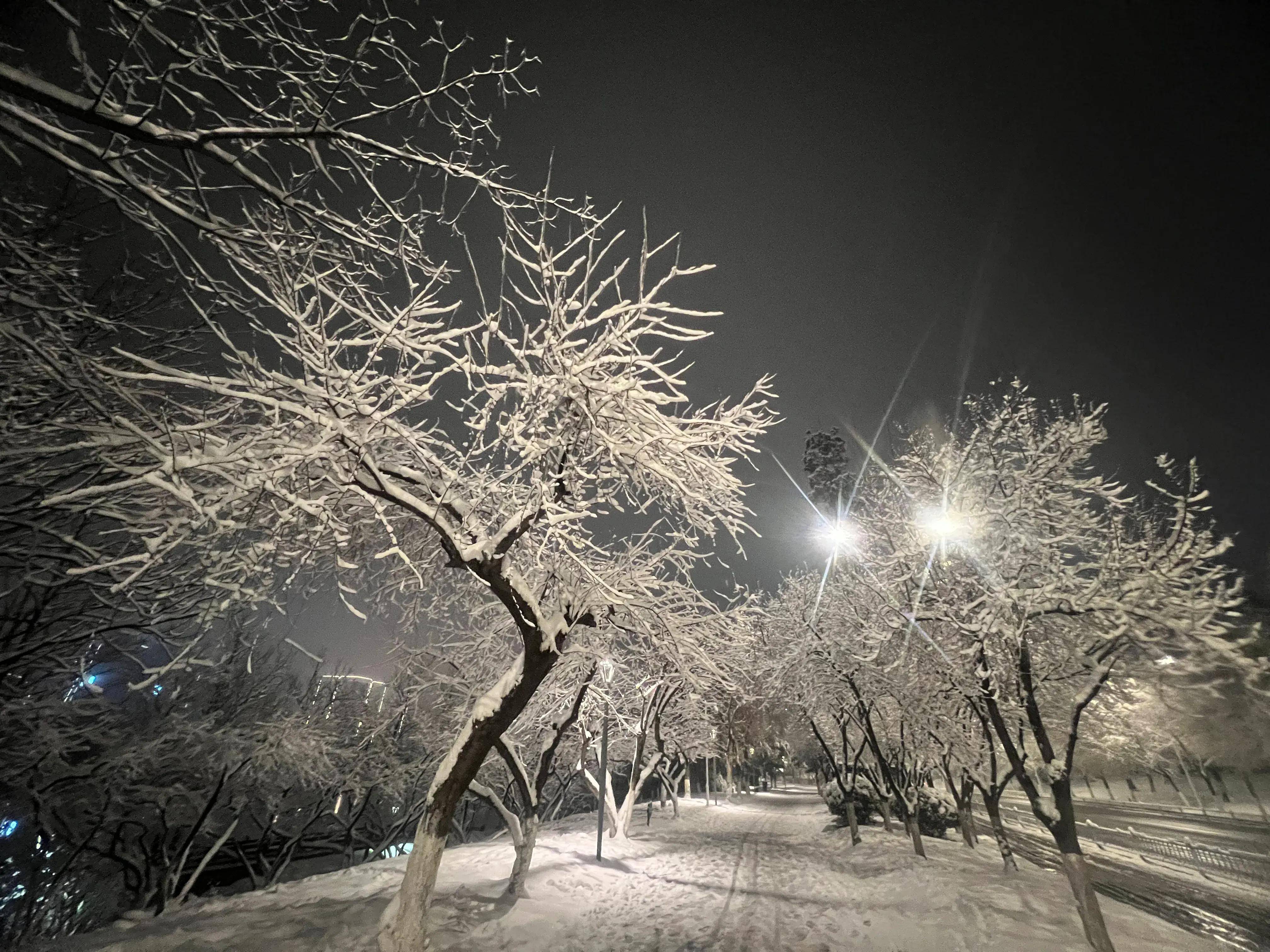 镜头:雪夜古城西安 宛如梦幻般童话世界(组图)_雪景_白雪_夜色