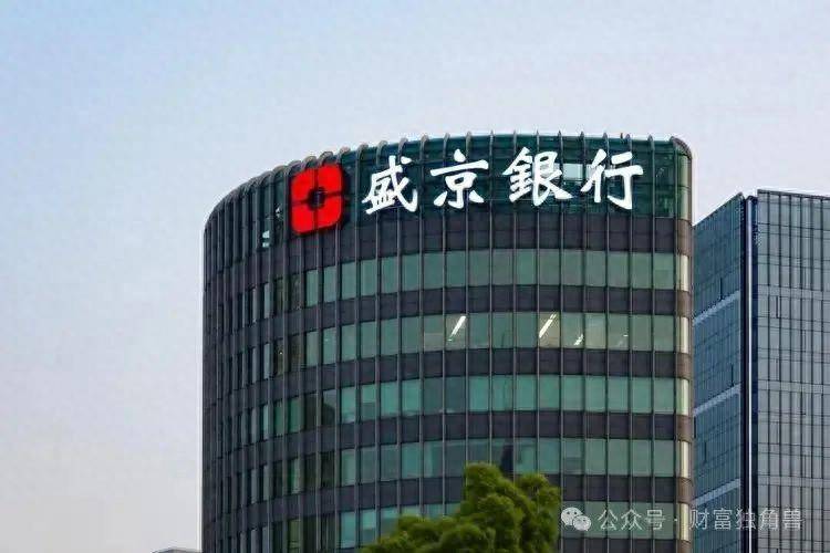 原创
            管理层“大换血”，“去恒大”化的盛京银行挑战重重