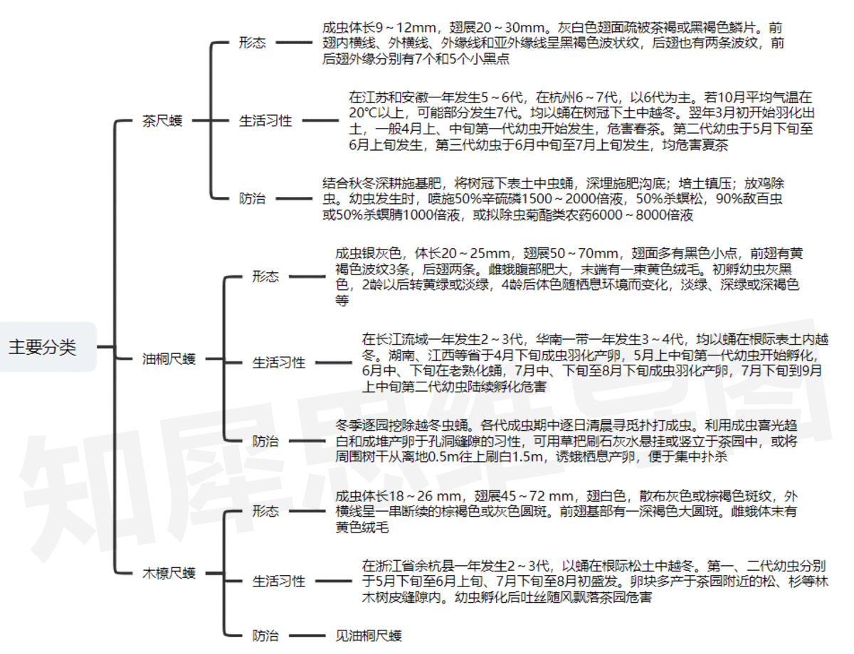 昆虫记思维导图,高清脑图模板分享_昆虫王国_朗格多克_法布尔