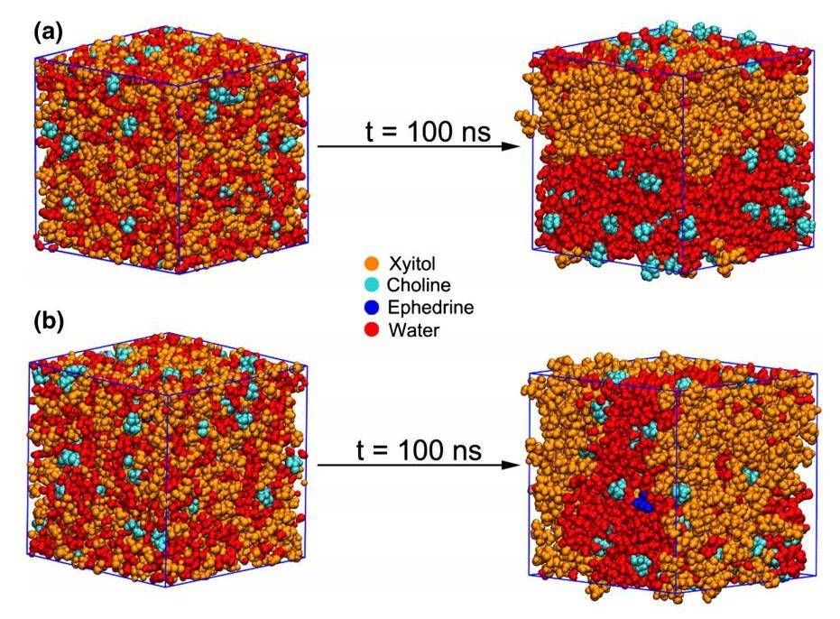 图1 md模拟前后的结构图:(a) des;(b) des和麻黄碱为了深入了解共晶