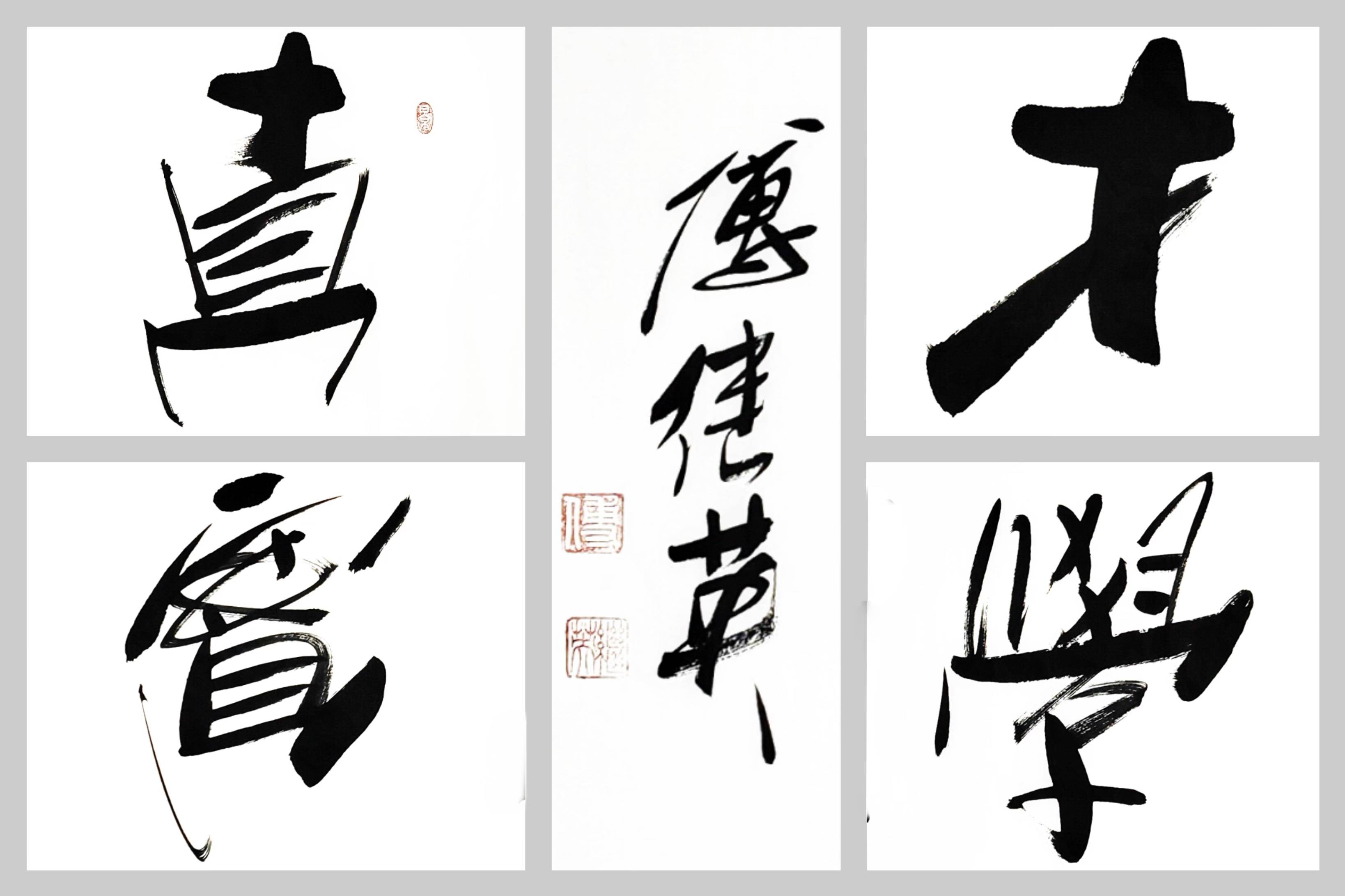 傅继英励志四字书法《真才实学》不断尝试,不断提高