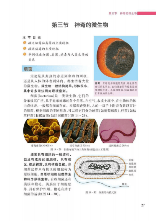 苏教版八年级上册生物电子课本高清完整版