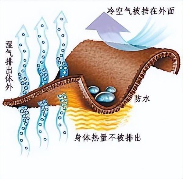 冬季保暖,同等重量棉花保暖能力只有人造棉的十分之一_羽绒服_衣服