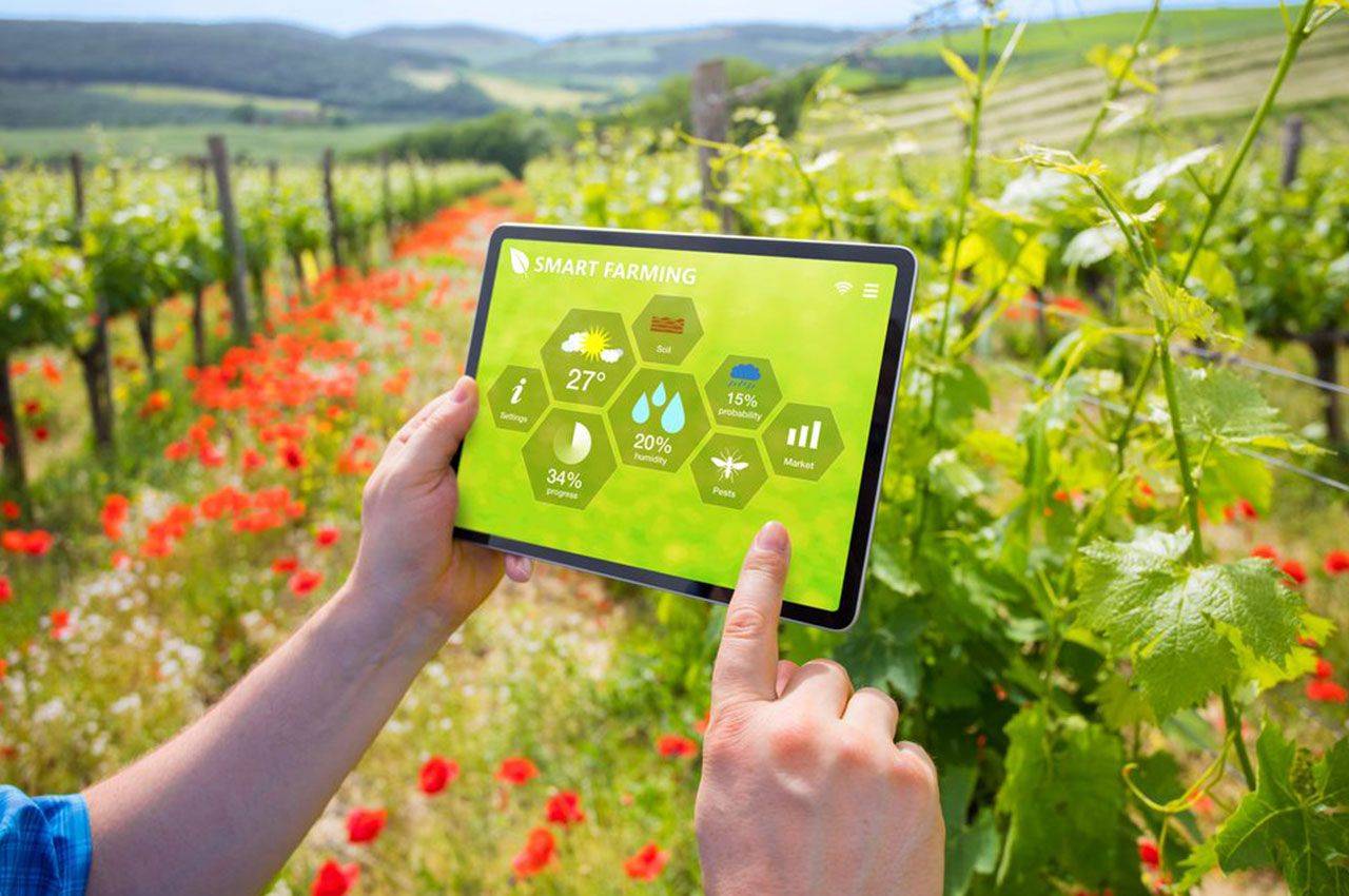 农业科技革新:互联网 智慧农业引领农业新潮流_智能化_技术_监测