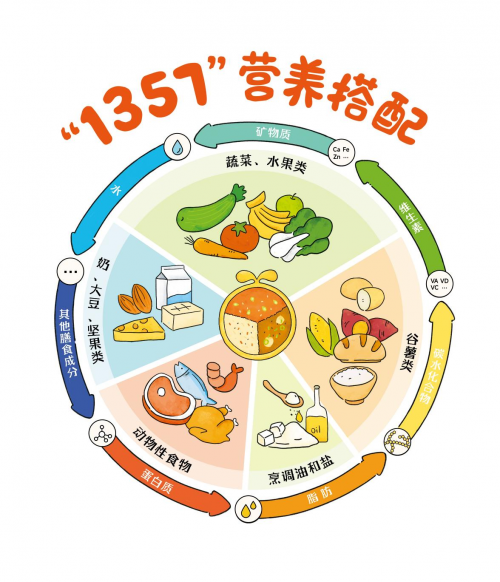 窝小芽合理膳食是什么?一步步教你掌握1357均衡膳食法则!