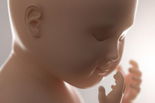 怀孕七个月左右,宝宝是长得比较快的,并且基本的器官框架也都有了