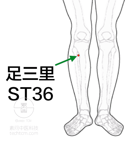 背痛有一個特殊的針法,是結合了經絡循行及天應穴的取穴方法——先針