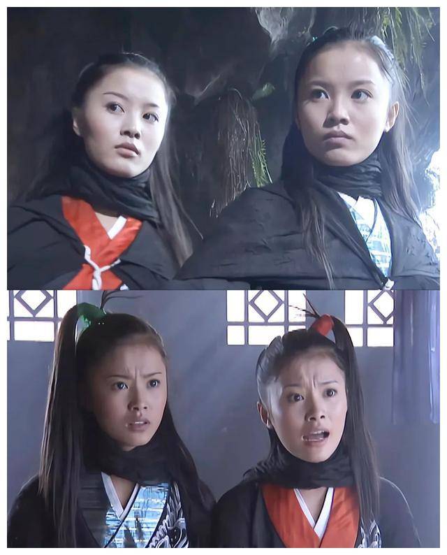 梅剑和竹剑,是原天山童姥坐下的婢女,童姥去世后,又成为新任尊主虚竹