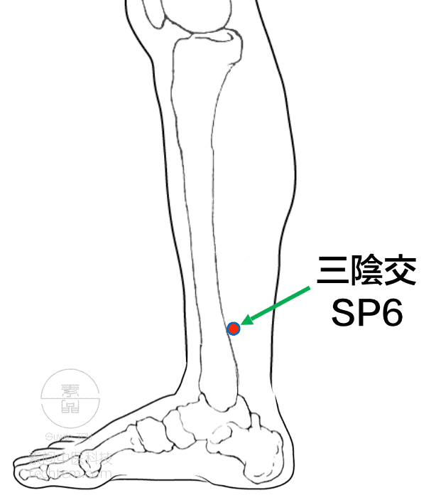 三陰交:子宮卵巢有瘀積時,三陰交會有壓痛.