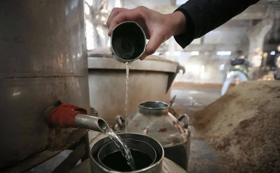 高粱带压蒸煮工艺对浓香白酒酒质有何提升?_酿造_整粒_酿酒