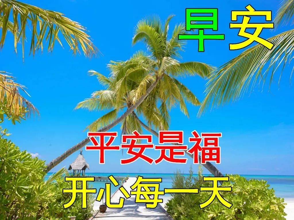 9张非常漂亮早上好鲜花动态图片带字祝福语,温馨的早安问候语祝福大全