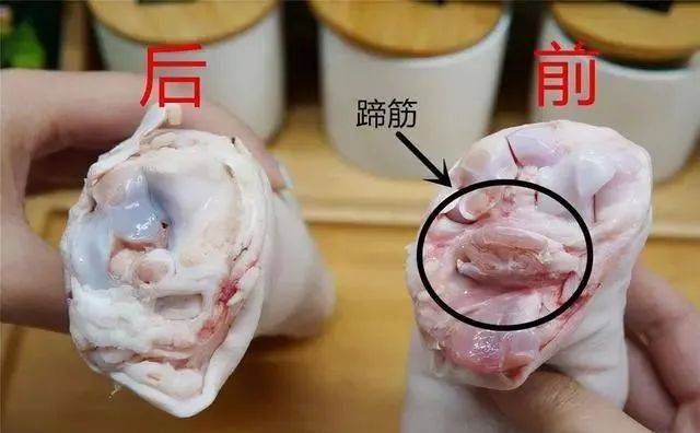 这最后要看的就是猪蹄的横切面了,就是猪蹄和肘子断开的地方,这块也是