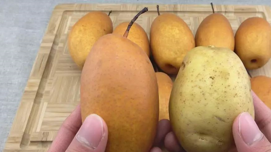 外形像土豆的金珠果梨,果肉味道是酸甜的,你吃过吗?