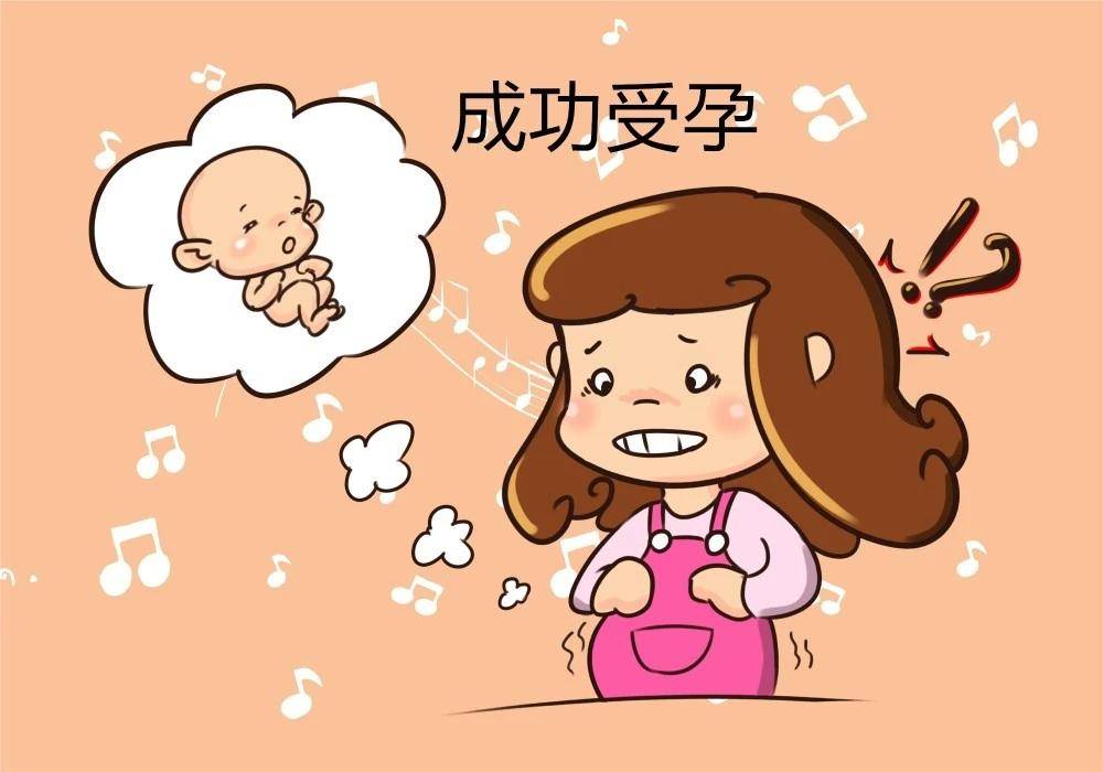 怎样备孕才稳妥?