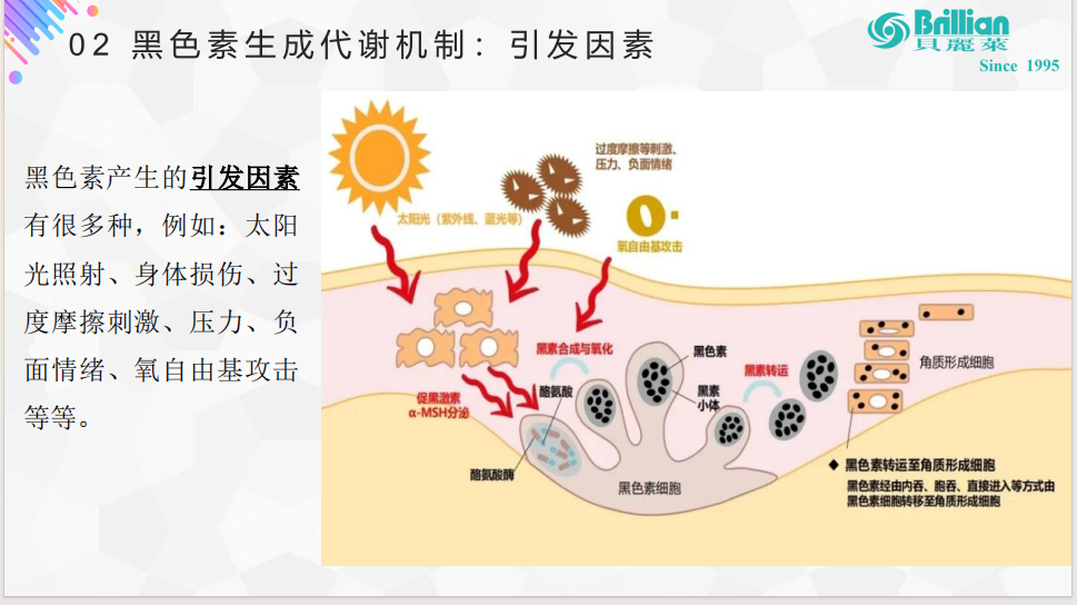 贝丽莱斯生物科技张雷 好的护肤产品不仅要有故事