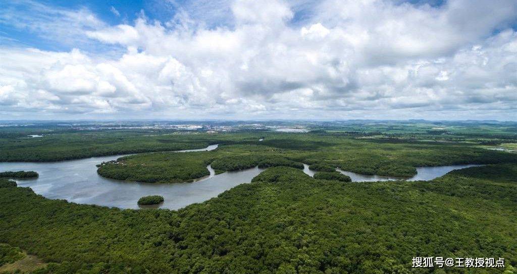 亚马逊丛林:生态与科学探索的无尽奥秘