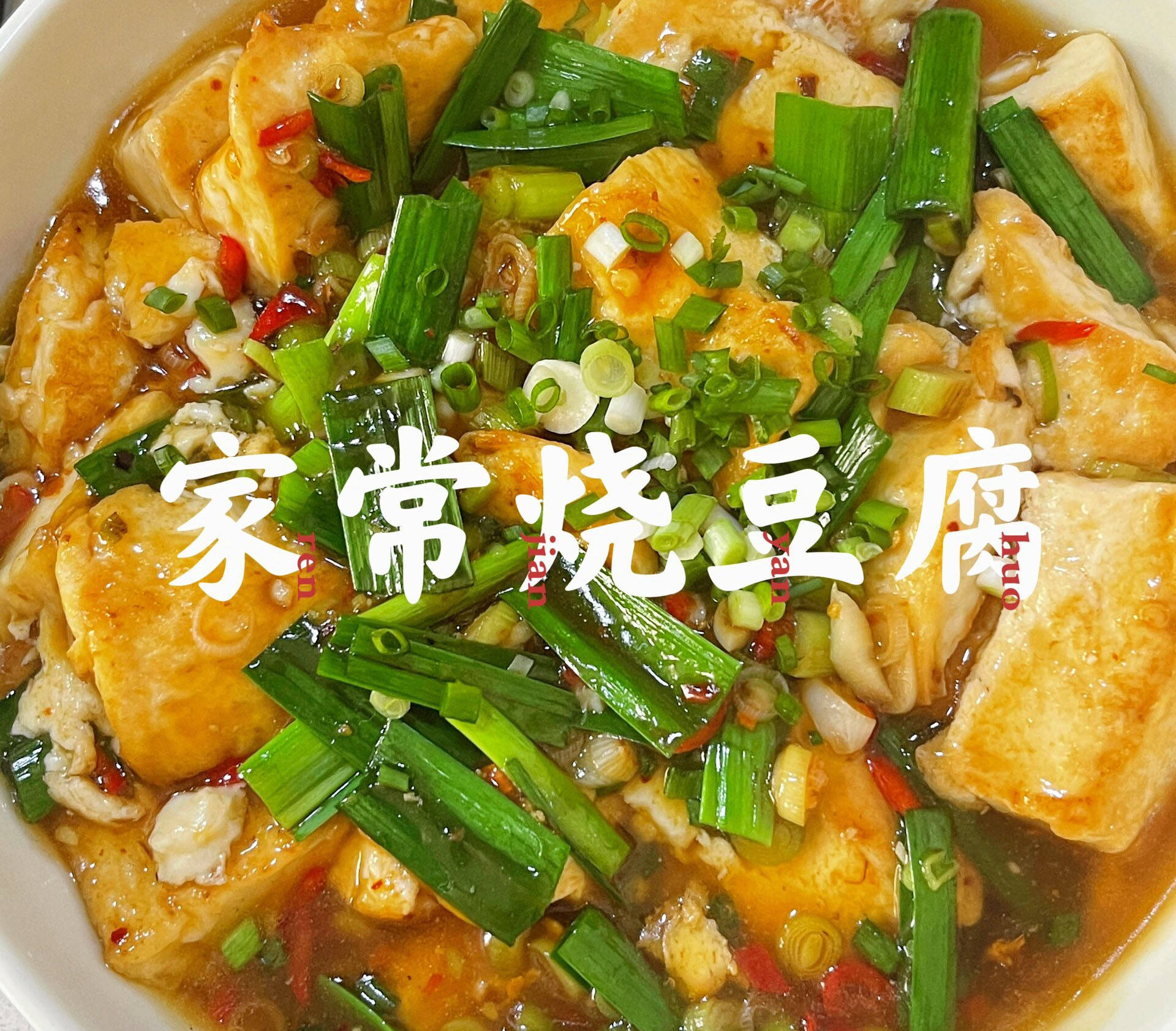 家常烧豆腐图片