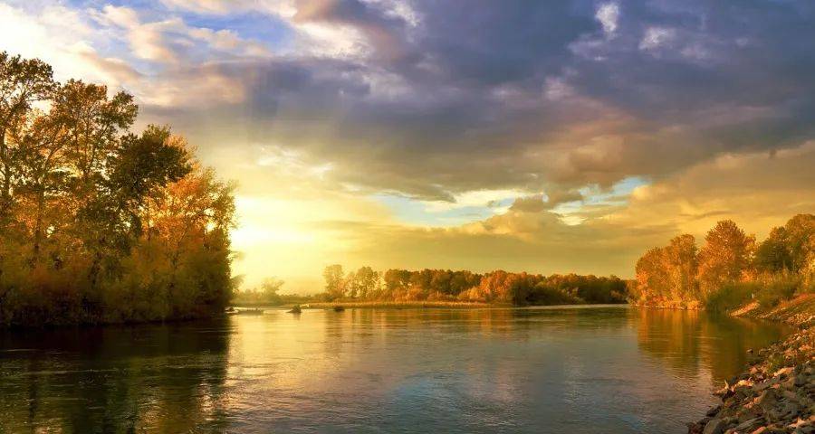 家电新消费中隐藏着服务赚大钱的机会-家电圈官网