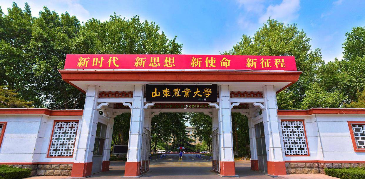 山东农业大学全景图图片