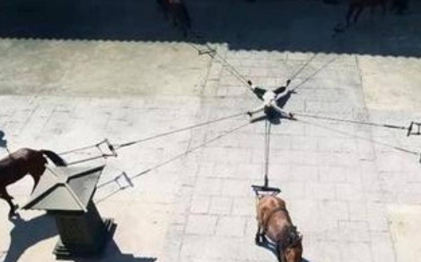 秦始皇的耻辱与愤恨:车裂嫪毐,囚其母,赐死吕不韦,一生不立后_赵姬