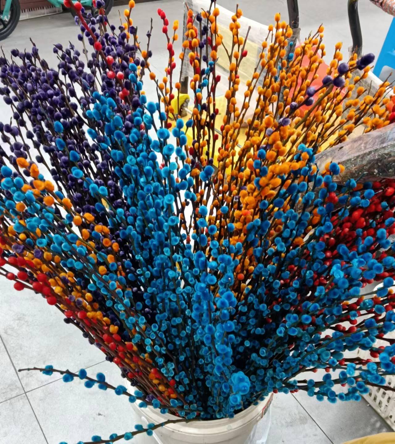 家有银柳,越过越有——五彩缤纷银芽柳_xw__html_染色