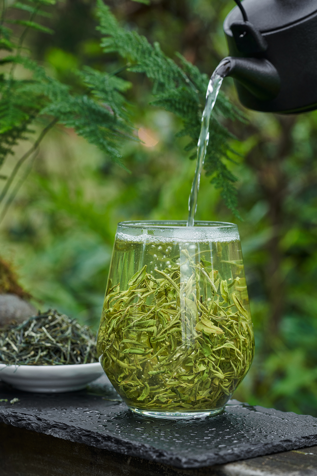 绿茶的三种常规泡法,快转给爱喝绿茶的ta!_方法_茶叶_水温