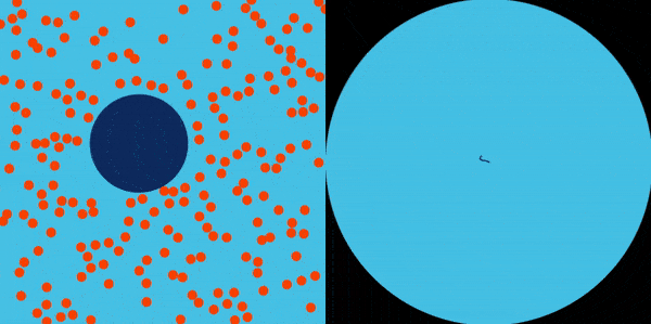 爱因斯坦的恐怖之处在于,通过布朗运动,就证实了微观原子的存在_行走