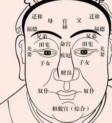 快来看看你的面相会在哪个年龄段发财呢?_耳朵_少年_生活