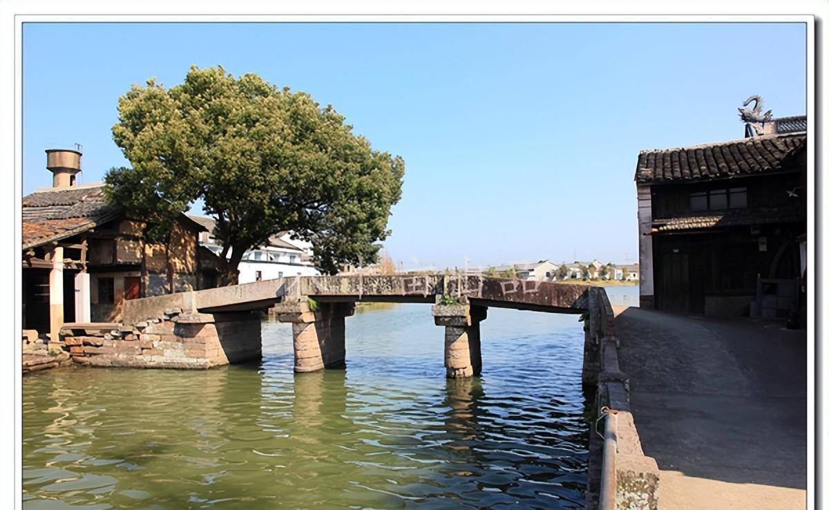 "仲草走天下,一席创世界"-仲一村(宁波市海曙区古林镇)_郑家_马塘