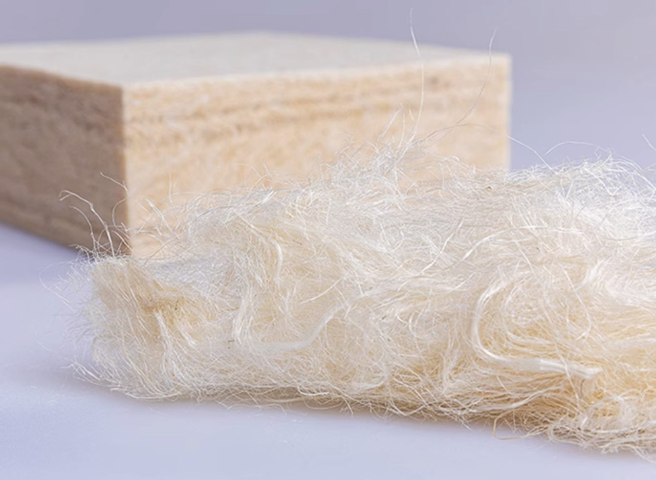 选择床垫的智慧:为何买黄麻床垫要选苏老伯精细白麻床垫?