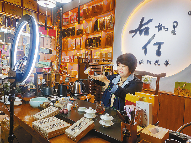 百炼到智能可控,百年茯茶解锁香飘万里的"生产密码"_销售_马红艳_茶叶