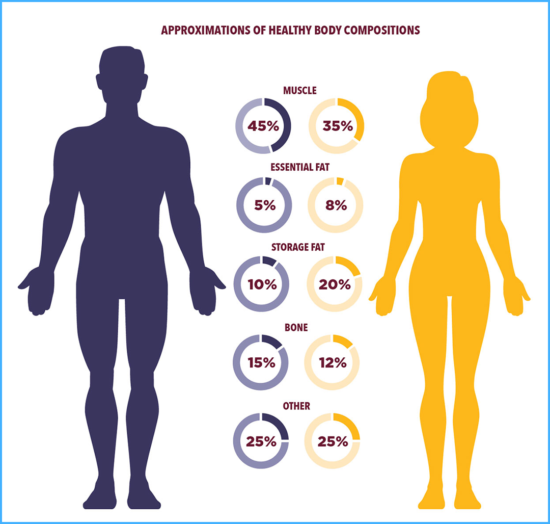 无论男女,这个部位粗都是好事!越粗越长寿!_保护_心血管_脂肪