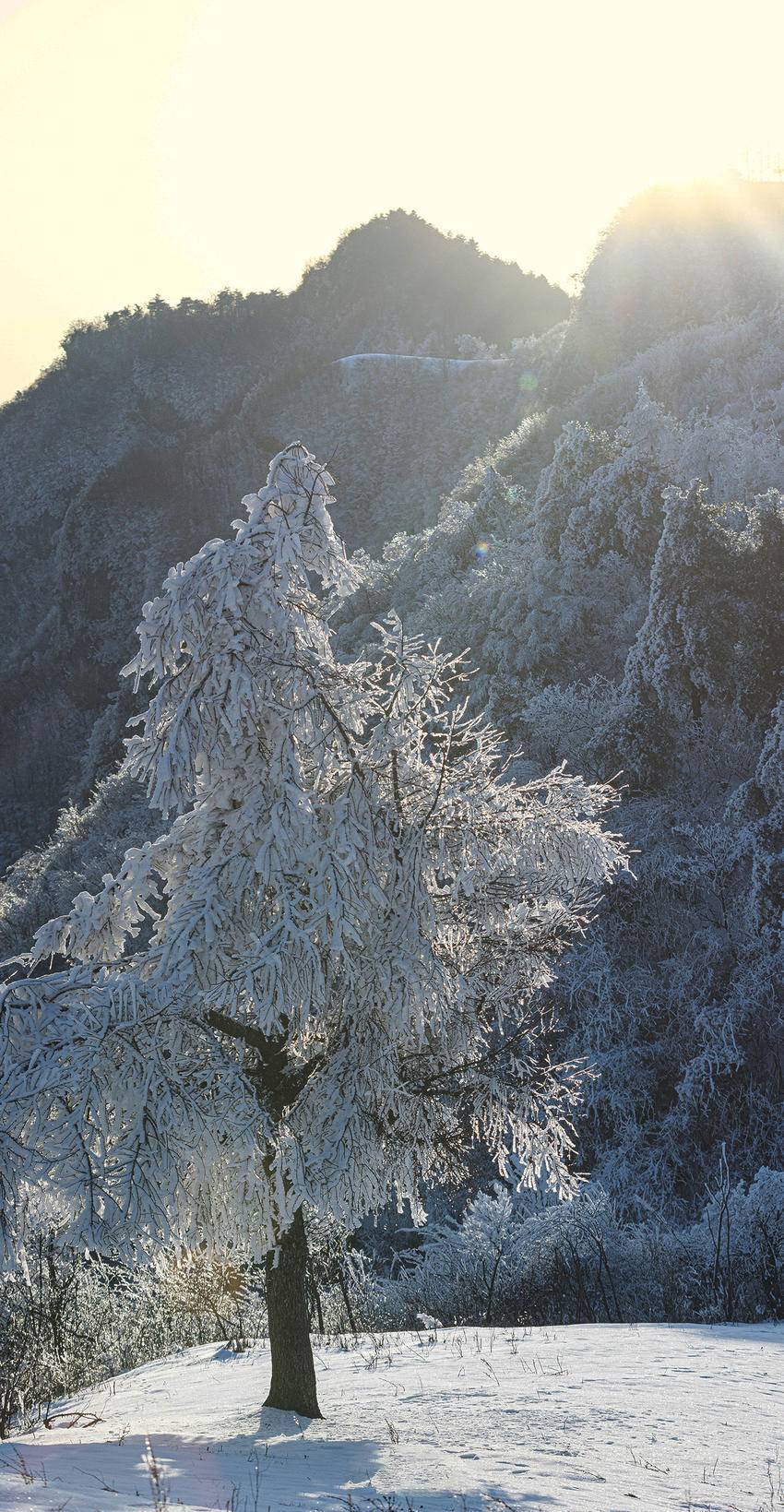 湖北长阳火烧坪乡:极冷季岁末听雪落,浮世有清欢